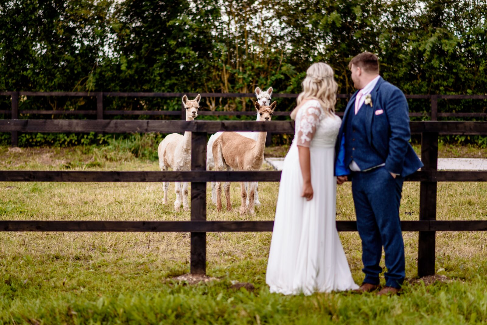 setcop farm weddings_0055