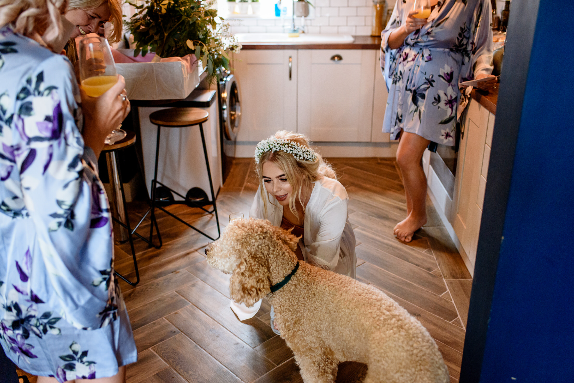 Bridesmaids petting a dog at a wedding in the kitchen at Scrivelsby Walled Garden.